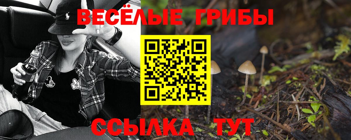 Касимов  Галлюциногенные грибы ЛСД  Вход с VPN  Галлюциногенные грибы Magic Shrooms 